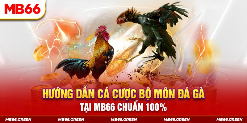 k8bet chơi baccarat là gì
