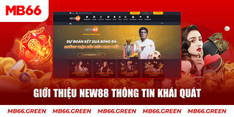 k8bet c1 gà chọi
