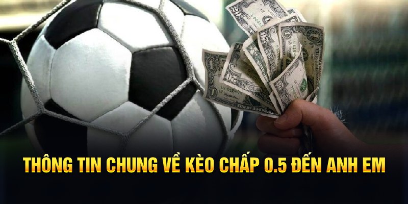 k8bet nổ hũ b29 là gì