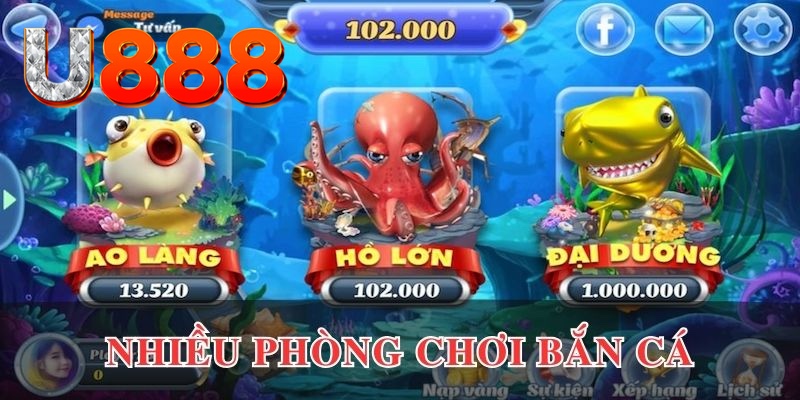 k8bet cá cược là gì