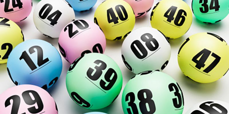 k8bet gà chọi c1 mới nhất