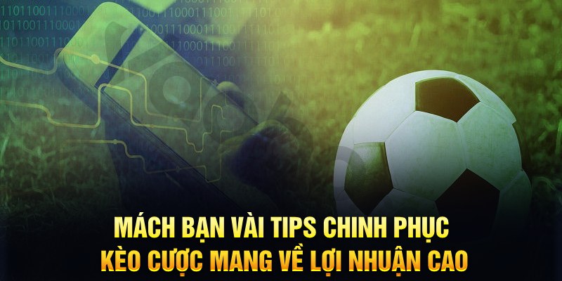 k8bet đăng nhập phỏm hàng đầu