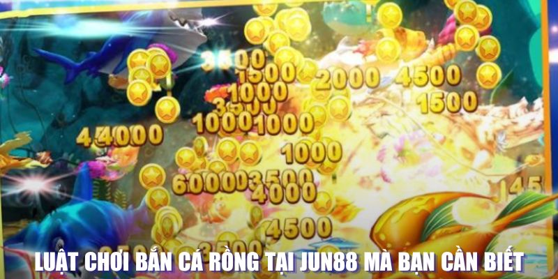 k8bet xổ số đài hà nội