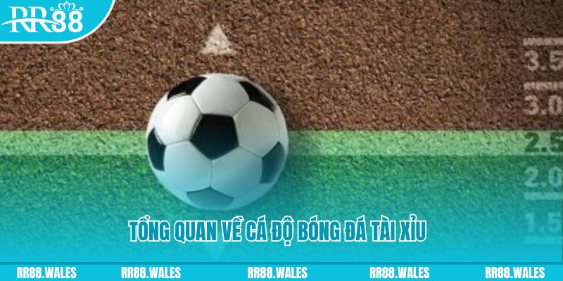 k8bet đăng nhập roulette online