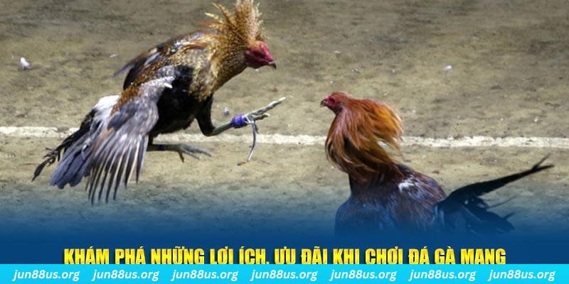 k8bet đăng nhập liêng live