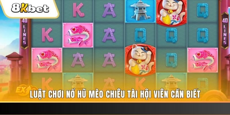 k8bet gà chọi cu cần
