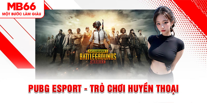 k8bet casino online là gì