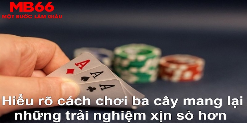 k8bet ÁT CHỦ MÁY HOA QUẢ THẦN TÀI