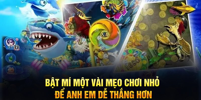 k8bet xổ số thứ ba
