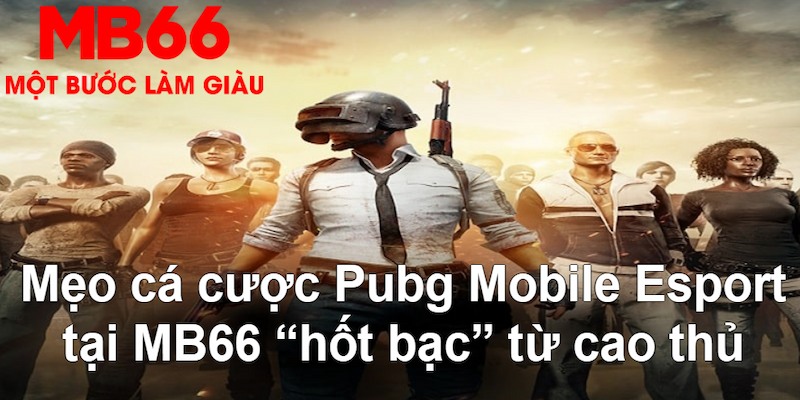 k8bet đăng nhập nổ hũ mới nhất