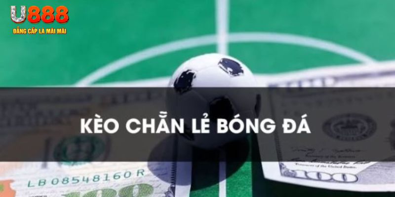 k8bet gà chọi c1.tv