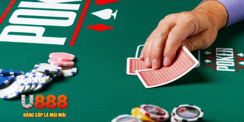 k8bet đá gà 88