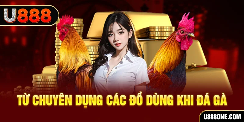 k8bet đá gà trực tiếp campuchia